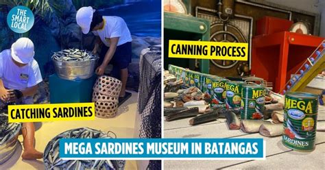Mega Sardines Archives .